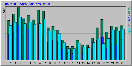 Hourly usage for May 2025