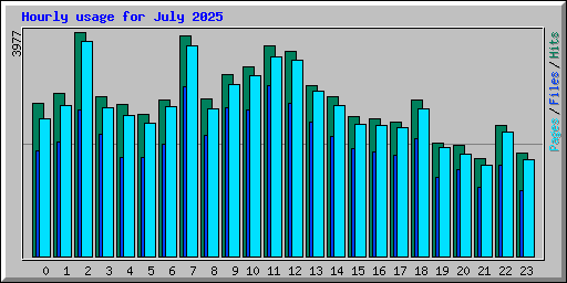 Hourly usage for July 2025