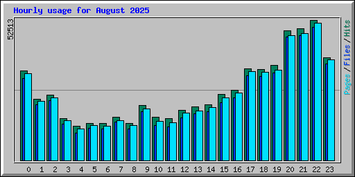 Hourly usage for August 2025